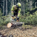 Motosierra Inalámbrica Dewalt 16" Brushless 60V MAX