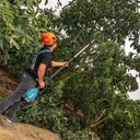 Podadora de Altura Telescópica 12" (300 mm) Makita